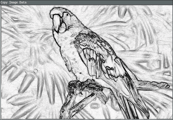 A black and white drawing of a parrot that gets filled in with color as a brush moves across the window