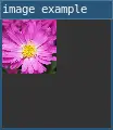 image example 2