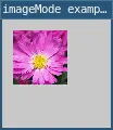 imageMode example 1