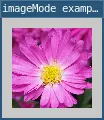 imageMode example 3