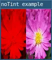 noTint example 1